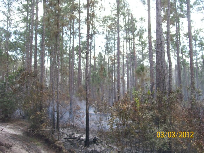 2012-Mar-03HGR4X4Richloam 142